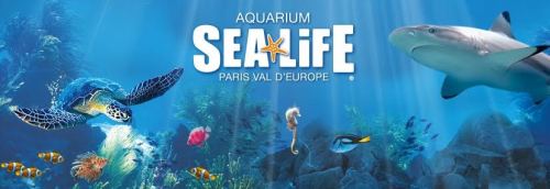 Sealife aquarium paris val d europe -blogreporter20